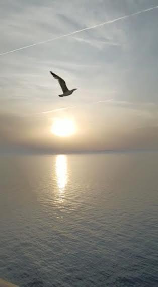 Armareaoverseassuites 1 Fiumicino Buitenkant foto